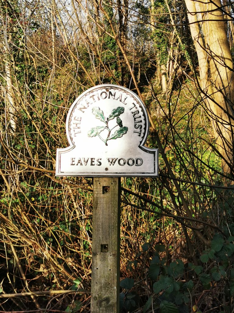 Woodland Walk 6th December